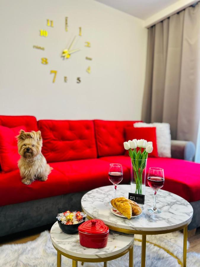 Downtown Apartments Presley Air-Conditioned Rzeszów Εξωτερικό φωτογραφία